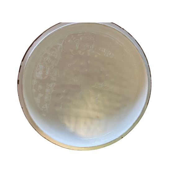 Euro Ceramic Cherry Pie Keeper Holder Covered Server Full Size - Picture 6 of 6